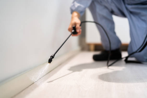 Licensed Exterminator service in Philo, IL - Show Me Pest Control