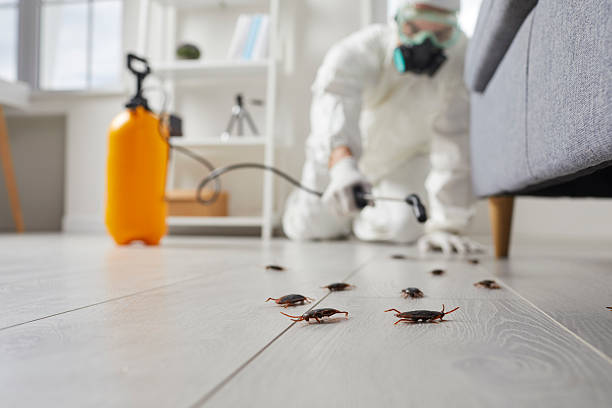 Commercial Kitchen Cockroach Control in Philo